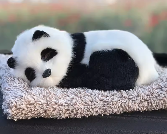 Sleeping Panda