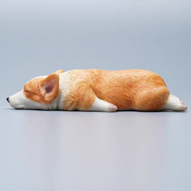 Sleeping Corgi